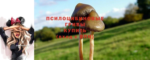 марки lsd Гусев