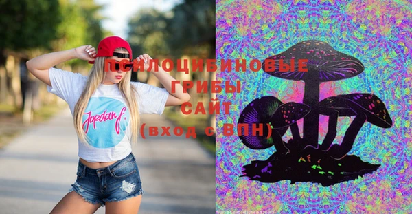 a pvp Гусиноозёрск