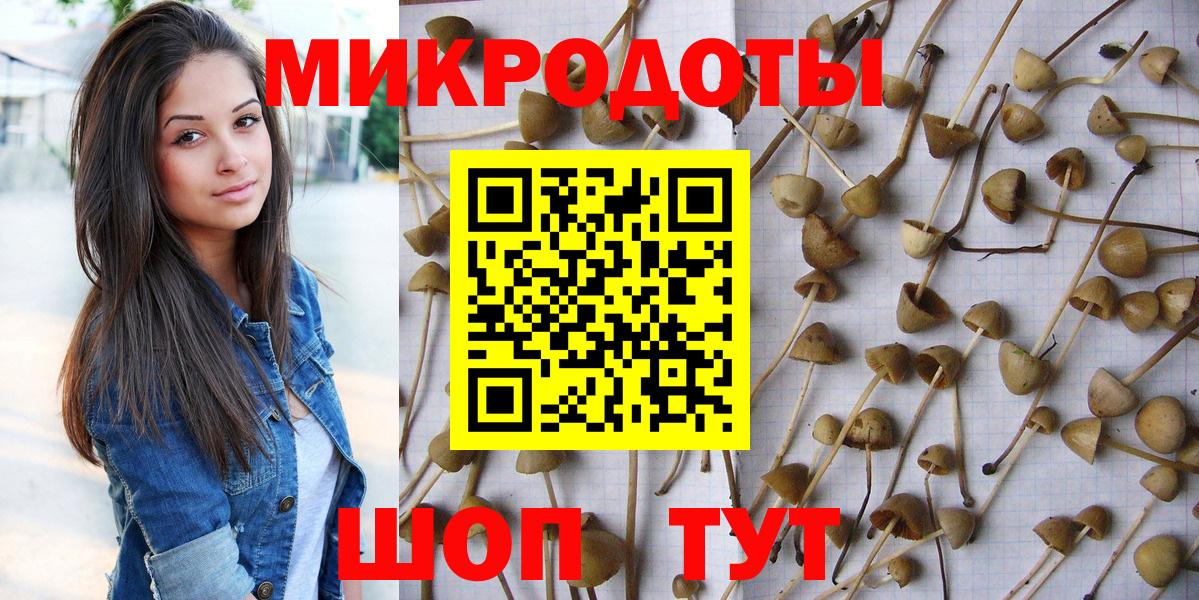Галлюциногенные грибы Cubensis Отрадный