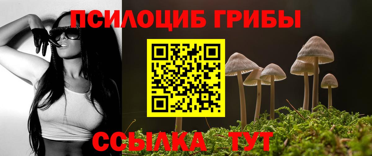 наркота  Галлюциногенные грибы Psilocybine cubensis  Вход с VPN  Отрадный 